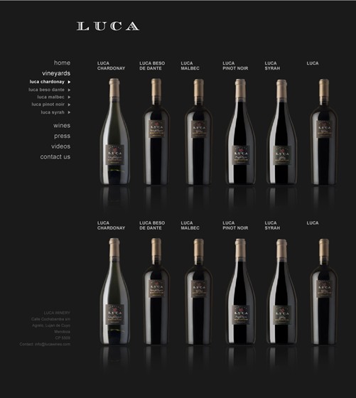 Web design: Designs by Analia Basualdo