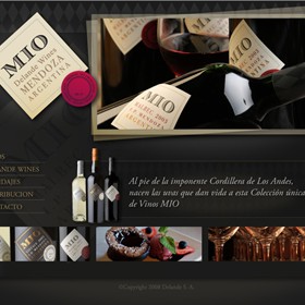 Web design: Designs by Analia Basualdo